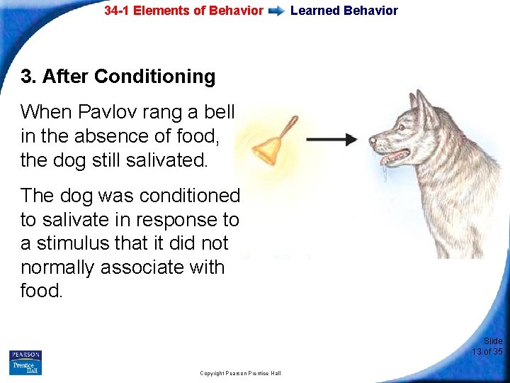 34 -1 Elements of Behavior Learned Behavior 3. After Conditioning When Pavlov rang a