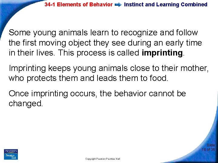 34 -1 Elements of Behavior Instinct and Learning Combined Some young animals learn to