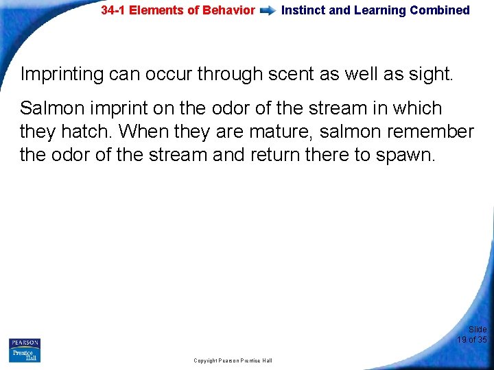 34 -1 Elements of Behavior Instinct and Learning Combined Imprinting can occur through scent