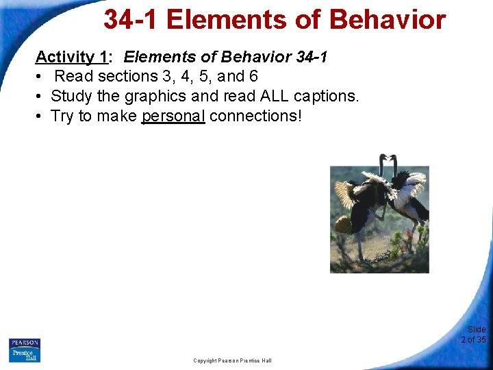 34 -1 Elements of Behavior Activity 1: Elements of Behavior 34 -1 • Read
