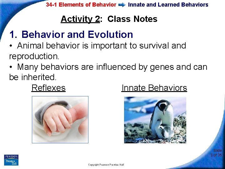34 -1 Elements of Behavior Innate and Learned Behaviors Activity 2: Class Notes 1.