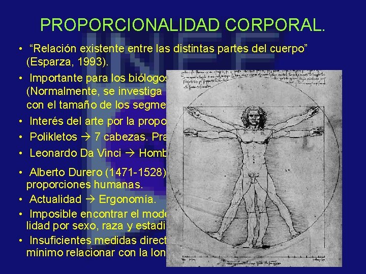 PROPORCIONALIDAD CORPORAL. • “Relación existente entre las distintas partes del cuerpo” (Esparza, 1993). •