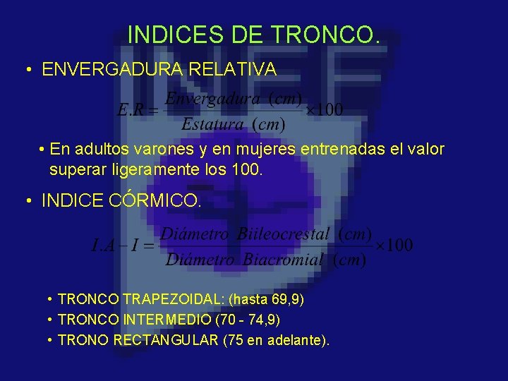 INDICES DE TRONCO. • ENVERGADURA RELATIVA • En adultos varones y en mujeres entrenadas