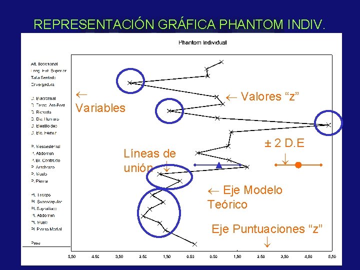 REPRESENTACIÓN GRÁFICA PHANTOM INDIV. Variables Líneas de unión Valores “z” ± 2 D. E