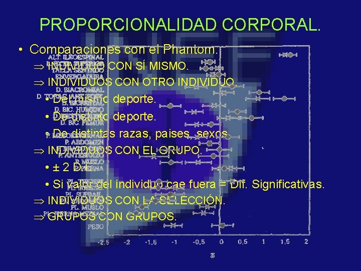 PROPORCIONALIDAD CORPORAL. • Comparaciones con el Phantom. Þ INDIVIDUO CON SÍ MISMO. Þ INDIVIDUOS