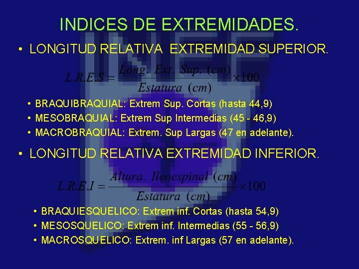 INDICES DE EXTREMIDADES. • LONGITUD RELATIVA EXTREMIDAD SUPERIOR. • BRAQUIAL: Extrem Sup. Cortas (hasta