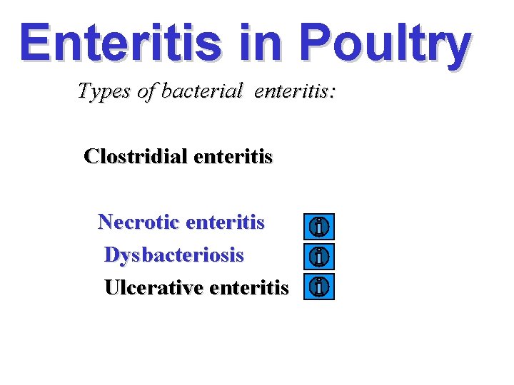 Enteritis in Poultry Types of bacterial enteritis: Clostridial enteritis Necrotic enteritis Dysbacteriosis Ulcerative enteritis