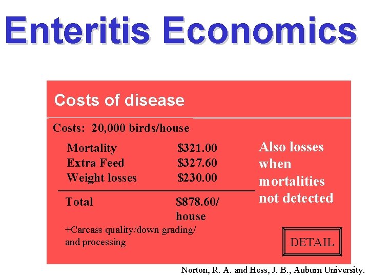 Enteritis Economics Costs of disease Costs: 20, 000 birds/house Mortality Extra Feed Weight losses