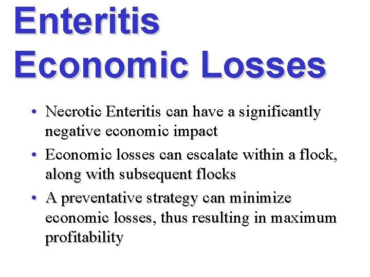 Enteritis Economic Losses • Necrotic Enteritis can have a significantly negative economic impact •