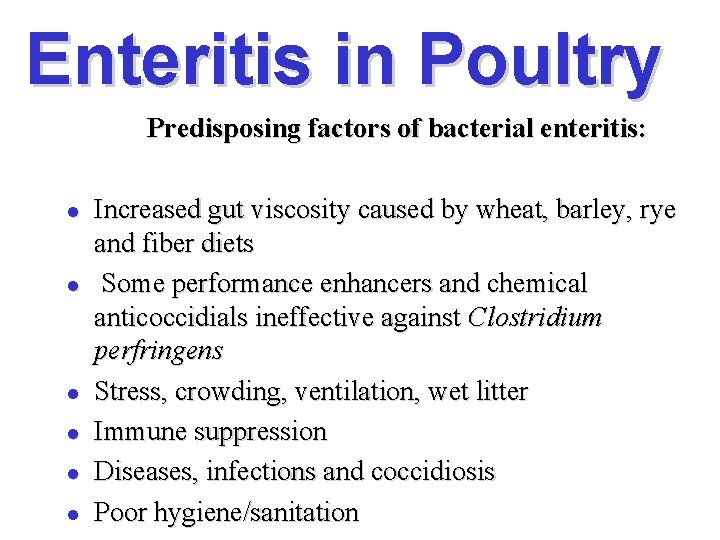 Enteritis in Poultry Predisposing factors of bacterial enteritis: l l l Increased gut viscosity