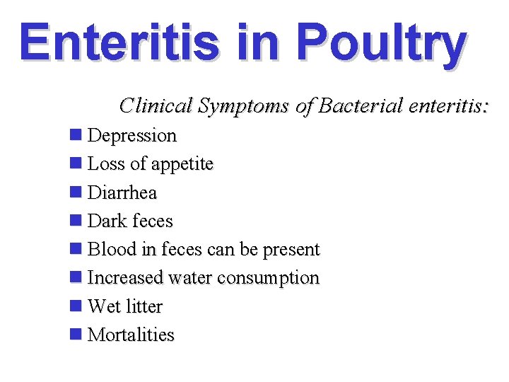 Enteritis in Poultry Clinical Symptoms of Bacterial enteritis: n Depression n Loss of appetite