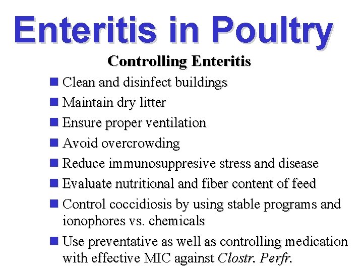 Enteritis in Poultry Controlling Enteritis n Clean and disinfect buildings n Maintain dry litter