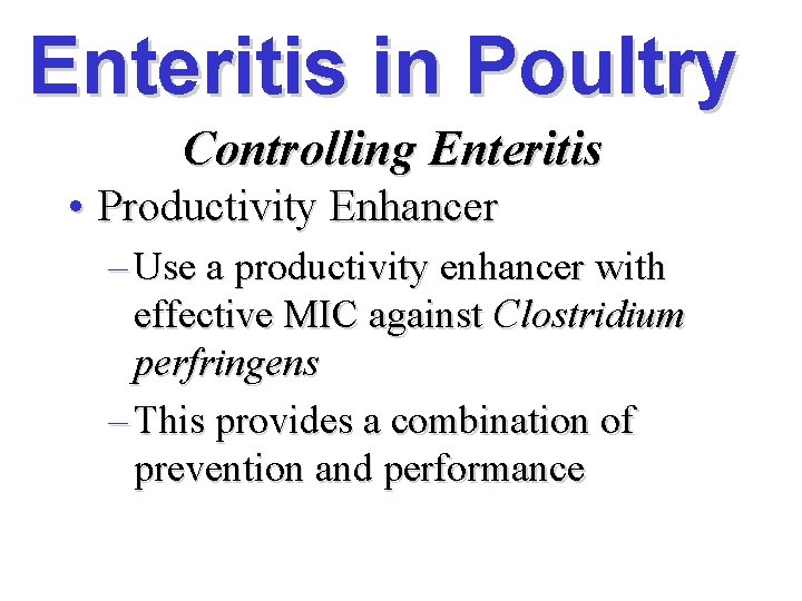 Enteritis in Poultry Controlling Enteritis • Productivity Enhancer – Use a productivity enhancer with
