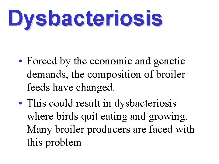 Dysbacteriosis • Forced by the economic and genetic demands, the composition of broiler feeds
