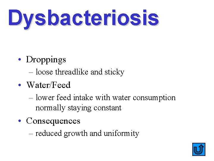 Dysbacteriosis • Droppings – loose threadlike and sticky • Water/Feed – lower feed intake