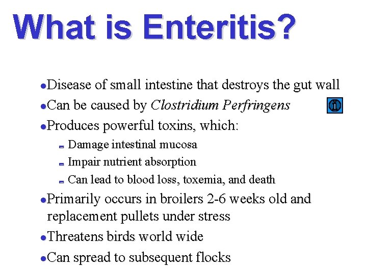 What is Enteritis? Disease of small intestine that destroys the gut wall l. Can