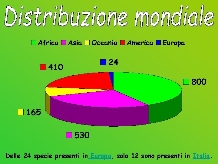 Delle 24 specie presenti in Europa, solo 12 sono presenti in Italia. 