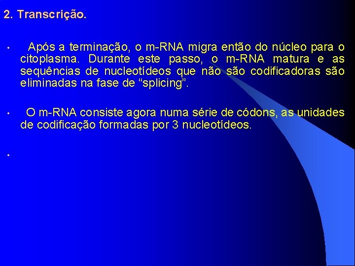 2. Transcrição. • Após a terminação, o m-RNA migra então do núcleo para o