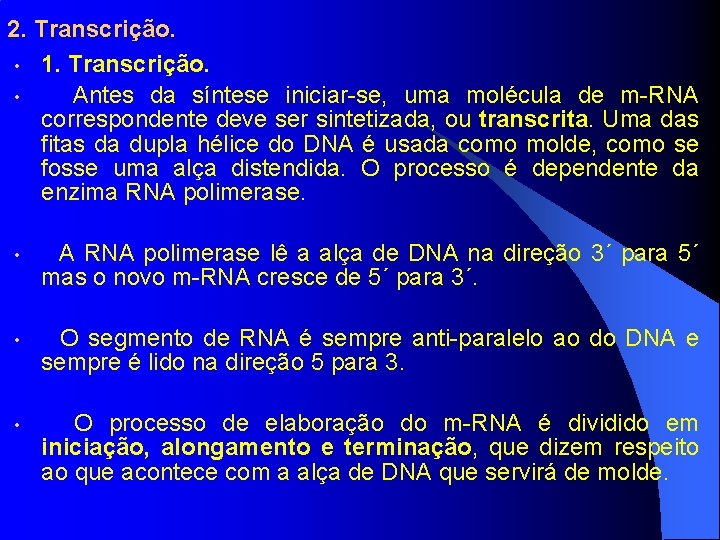 2. Transcrição. • 1. Transcrição. • Antes da síntese iniciar-se, uma molécula de m-RNA