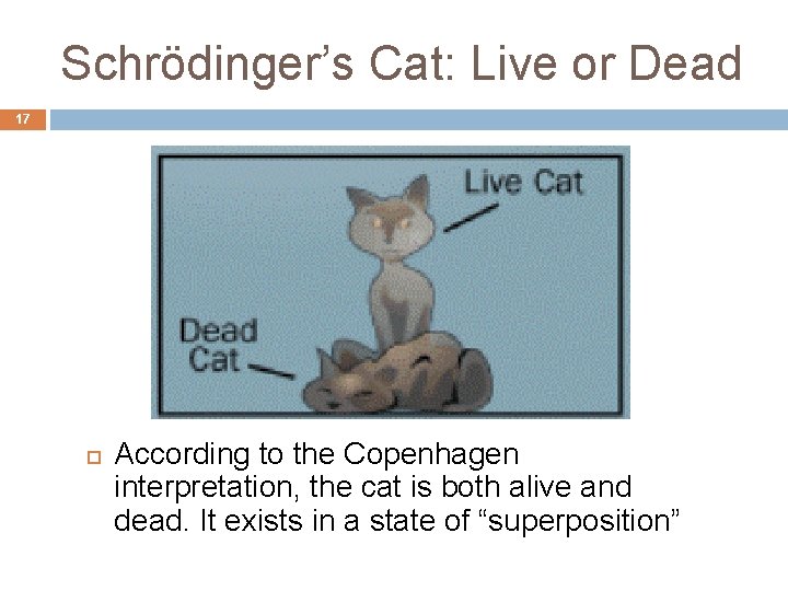 Schrödinger’s Cat: Live or Dead 17 According to the Copenhagen interpretation, the cat is