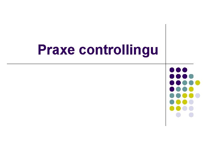 Praxe controllingu 