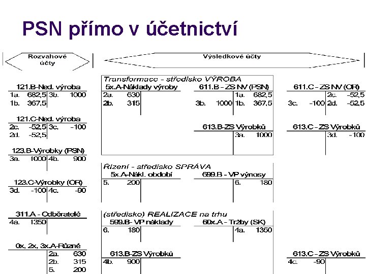 PSN přímo v účetnictví 