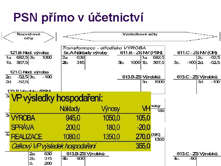 PSN přímo v účetnictví 