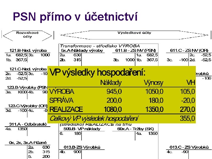 PSN přímo v účetnictví 