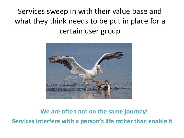 Services sweep in with their value base and what they think needs to be