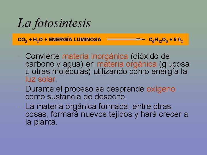 La fotosíntesis CO 2 + H 2 O + ENERGÍA LUMINOSA • • •