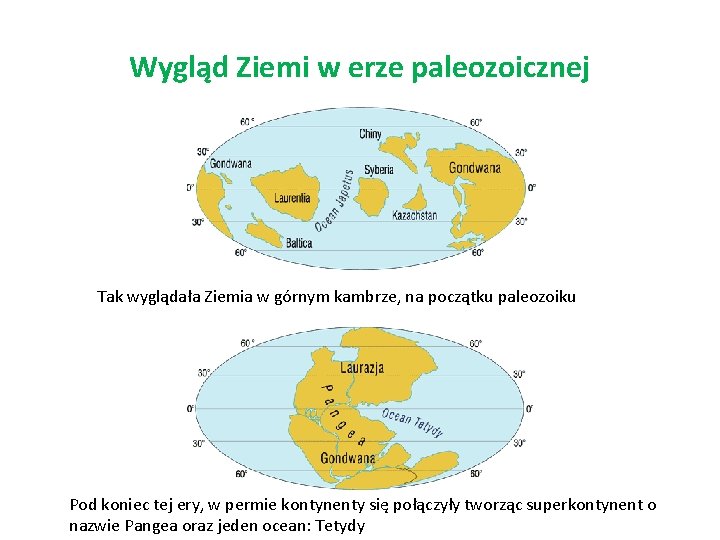 Wygląd Ziemi w erze paleozoicznej Tak wyglądała Ziemia w górnym kambrze, na początku paleozoiku