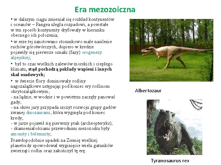 Era mezozoiczna • w dalszym ciągu zmieniał się rozkład kontynentów i oceanów – Pangea