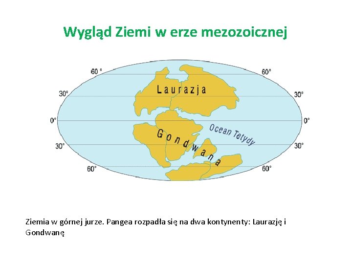 Wygląd Ziemi w erze mezozoicznej Ziemia w górnej jurze. Pangea rozpadła się na dwa