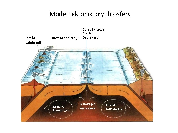 Model tektoniki płyt litosfery Strefa subdukcji Rów oceaniczny Komórka konwekcyjna Dolina Ryftowa Grzbiet Oceaniczny