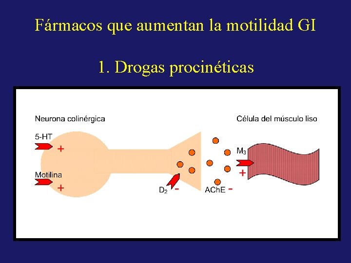 Fármacos que aumentan la motilidad GI 1. Drogas procinéticas 