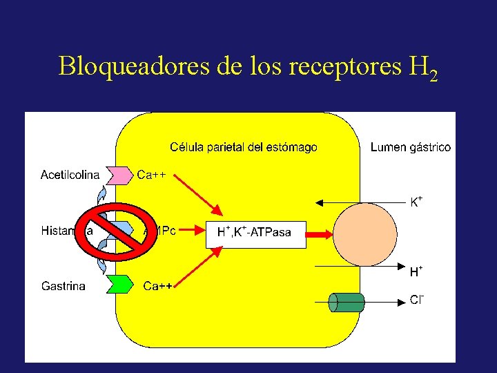 Bloqueadores de los receptores H 2 