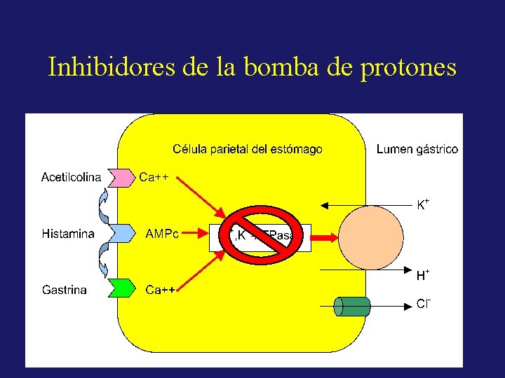 Inhibidores de la bomba de protones 