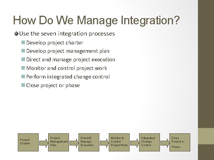 How Do We Manage Integration? Use the seven integration processes n Develop project charter