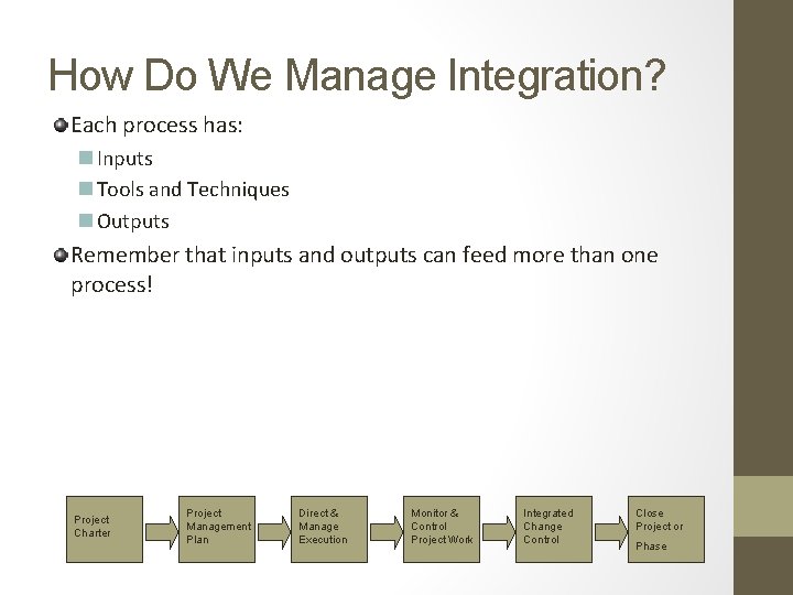 How Do We Manage Integration? Each process has: n Inputs n Tools and Techniques