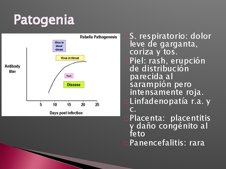 Patogenia � S. respiratorio: dolor leve de garganta, coriza y tos. � Piel: rash,