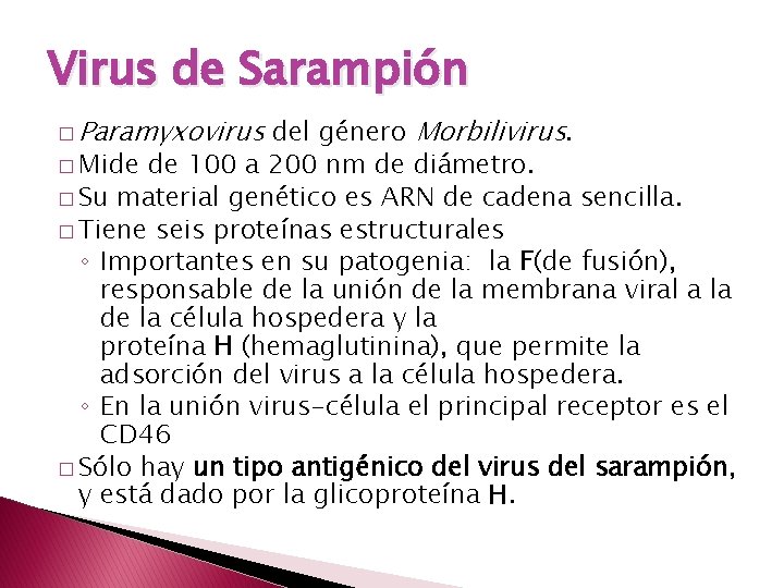 Virus de Sarampión � Paramyxovirus del género Morbilivirus. � Mide de 100 a 200