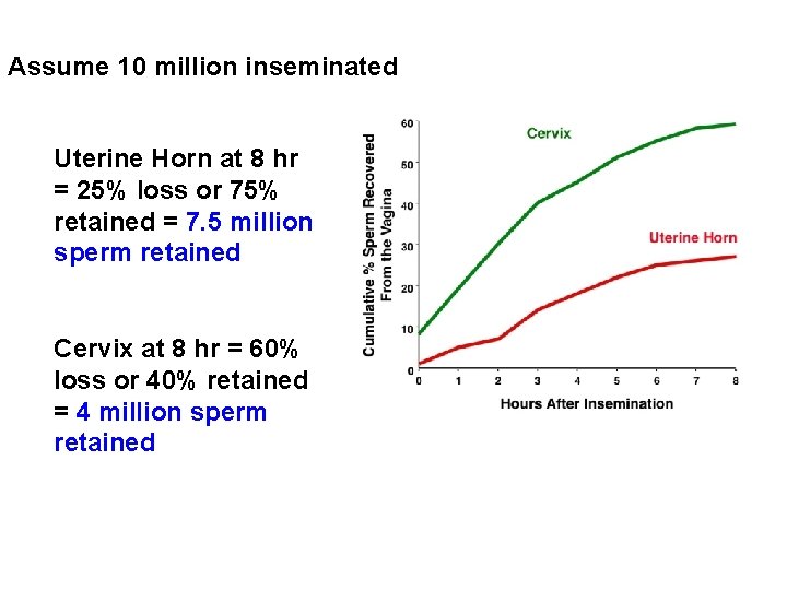 Assume 10 million inseminated Uterine Horn at 8 hr = 25% loss or 75%