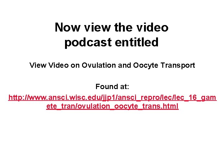 Now view the video podcast entitled View Video on Ovulation and Oocyte Transport Found