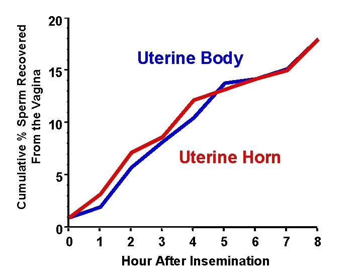 From the Vagina Cumulative %% Sperm Recovered Cumulative From Sperm Vagina 20 15 0