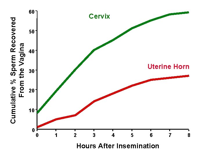 cervix Cumulative % Sperm Recovered From the Vagina 60 Cervix 50 40 Uterine Horn