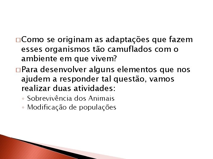 � Como se originam as adaptações que fazem esses organismos tão camuflados com o
