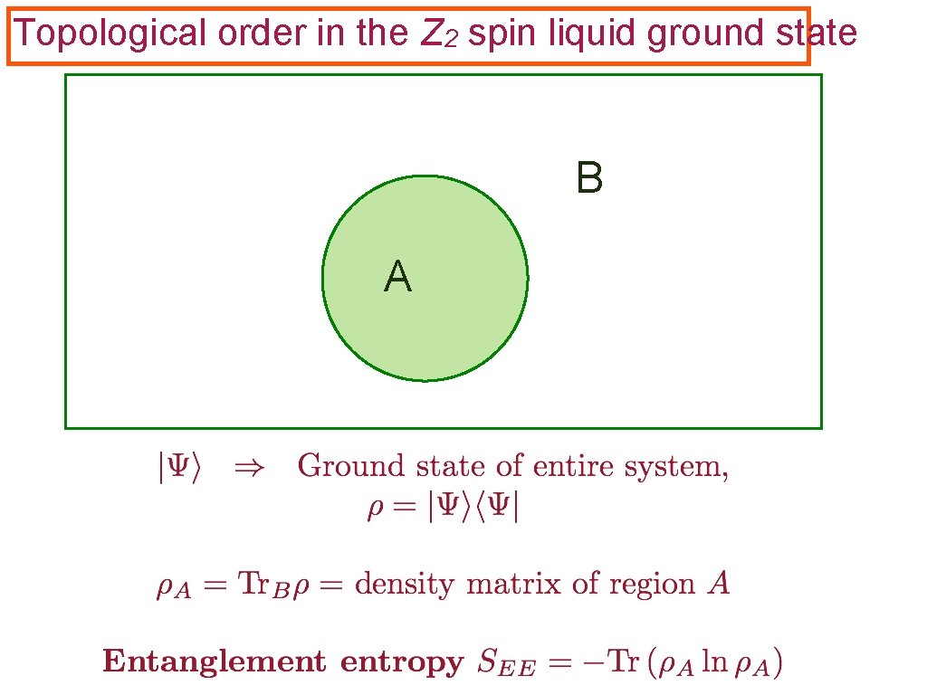 Topological order in the Z 2 spin liquid ground state B A 