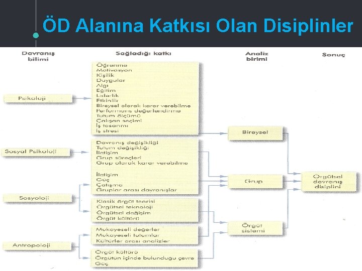 ÖD Alanına Katkısı Olan Disiplinler 17 