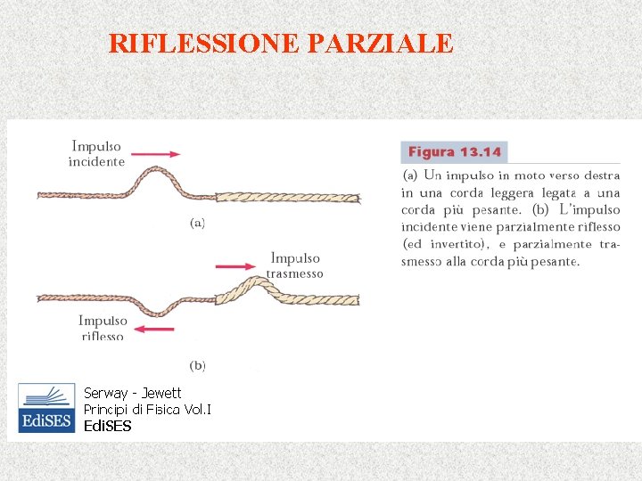 RIFLESSIONE PARZIALE 