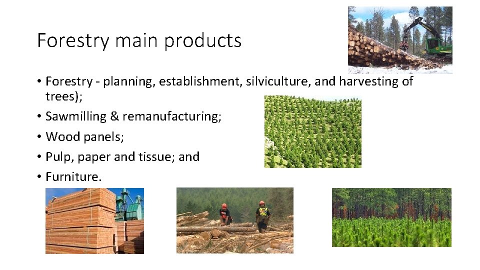 Forestry main products • Forestry - planning, establishment, silviculture, and harvesting of trees); •